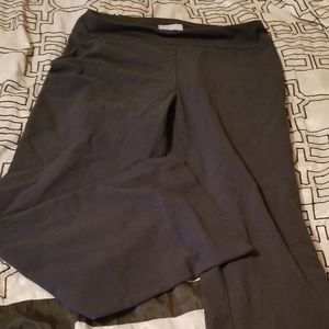 Dress pants